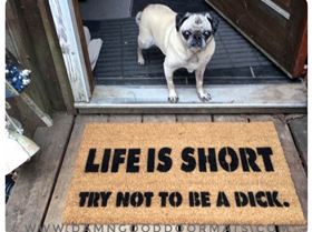 lifeshortdick.jpegfunnyrudewelcomematdamngooddoormats