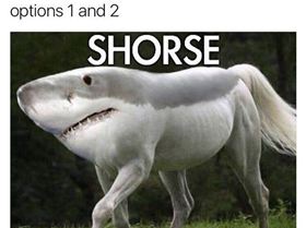 funny-agency-life-creative-designer-copywriter-memes-1