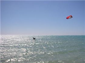 Frogman.loop training OUCH