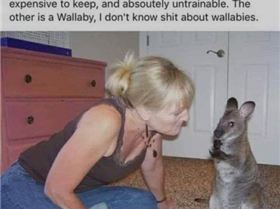 1a wallaby
