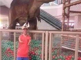 124634975102248344238715033539178987067494009o