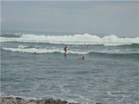 Bali surfing