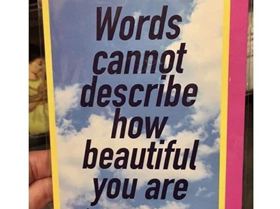 words cannot describe how beautiful you are