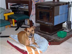 My best mate \"Bundy\"