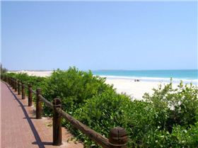 Facing South - Cable Beach