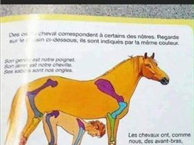 received1557576624447959