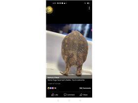 Screenshot2021-05-17-18-23-33-88