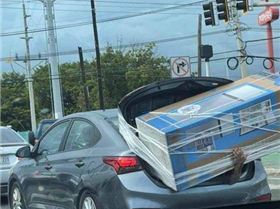 192271317102269175337067852544925818966486951n