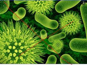 5j67j567j56757h776g56