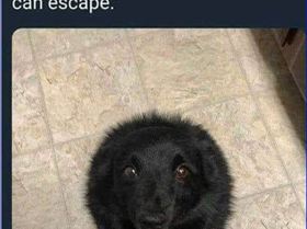 ryretyerty5756nntyty