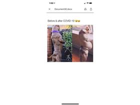 Screenshot 2021-08-06 at 1.52.11 PM