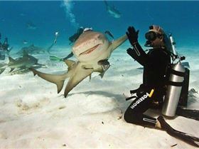 bW4SbXHY8ejTjJEr8JoVWVj7cTKNAoVxOyfvwP09BjTO28xEEgjLi.A,,25