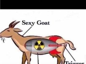 received363969728557184