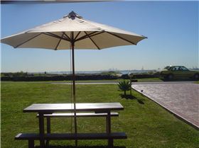 kitebad house and dog