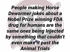 241780372101609918754982738008494317042023004n