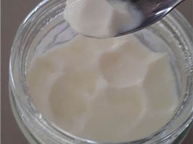 Yoghurt