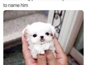 uuuuuuuuuuuuuuuuuuuuu