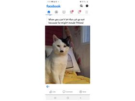 Screenshot20211206-043232Facebook