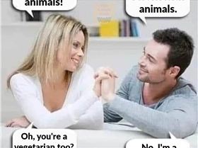 animals