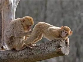 Web capture20-10-2022183047qph.cf2.quoracdn.net