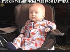 31789241228720897129325044249693050412681374n