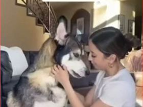 rtynertyer56456456h4