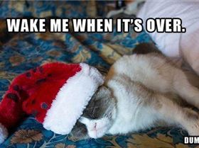 20121206125818IMG6418