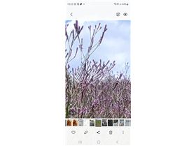 Screenshot20230123152332Gallery