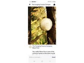 Screenshot20230319113344Facebook