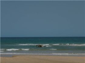 Wokkys little  **stuffup