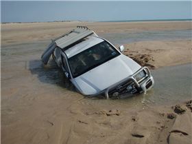 Wokkys little  **stuffup