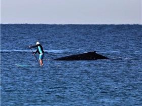 Screenshot20230620205504Facebook