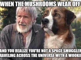 35774860410159080804712260676110802491805040n