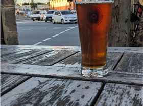 PXL20230804091202544