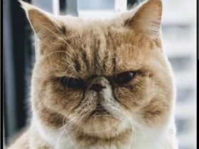 Screenshot20230818-094253