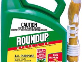 Screenshot20230906203543Chrome