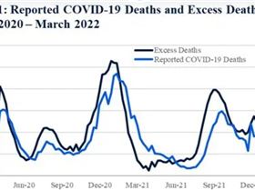 Screenshot20231013101951Chrome