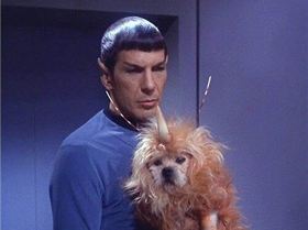 remember-when-star-trek-made-an-exotic-alien-by-adding-a-horn-to-a-dog