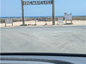 PXL20231009045331050