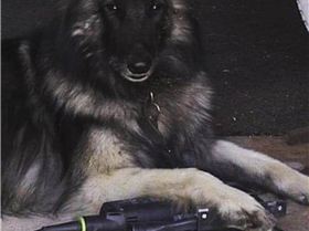 Screenshot20231125-125256