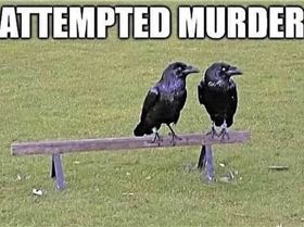 Screenshot20240226-203015