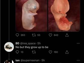 RDT202404041020298336106891578489862