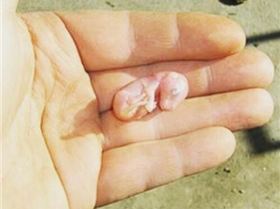 tumblr-npy6i7ufkc1ur6jleo1-500