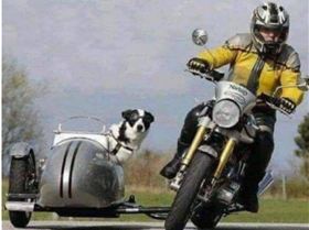 Screenshot20240406124249Facebook