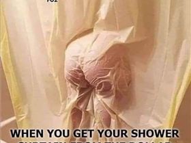 showercurtain