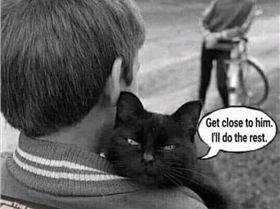 Screenshot20240425-080750