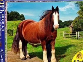 917115450-jigsaw puzzle, featuring a photo of a obnoxious looking, but otherwise kind-hearted shire 