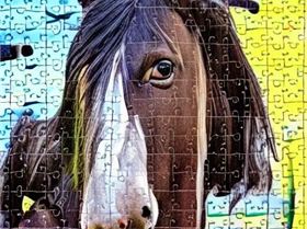4239032036-jigsaw puzzle, featuring a photo of a obnoxious looking, but otherwise kind-hearted shire
