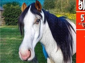 3277162969-jigsaw puzzle, featuring a photo of a obnoxious looking, but otherwise kind-hearted shire