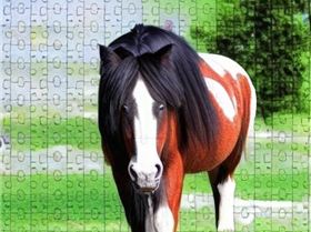4277482072-jigsaw puzzle, featuring a photo of a obnoxious looking, but otherwise kind-hearted shire